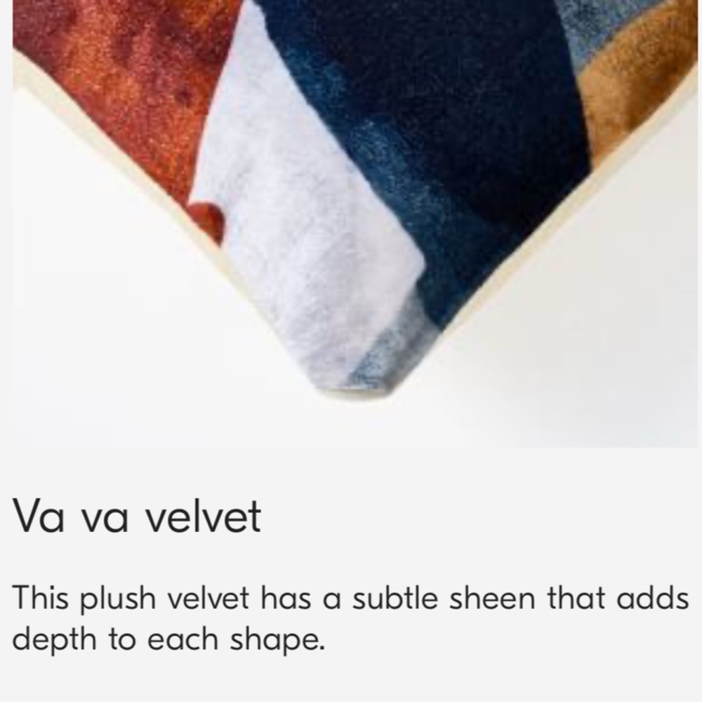 West Elm Modern Abstract Floral Pillow Cover - Picture 4 of 13